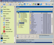 Falcove Web Vulnerability Scanner screenshot